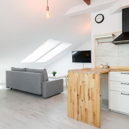 Apartment Alexander Krakow Bagian luar foto