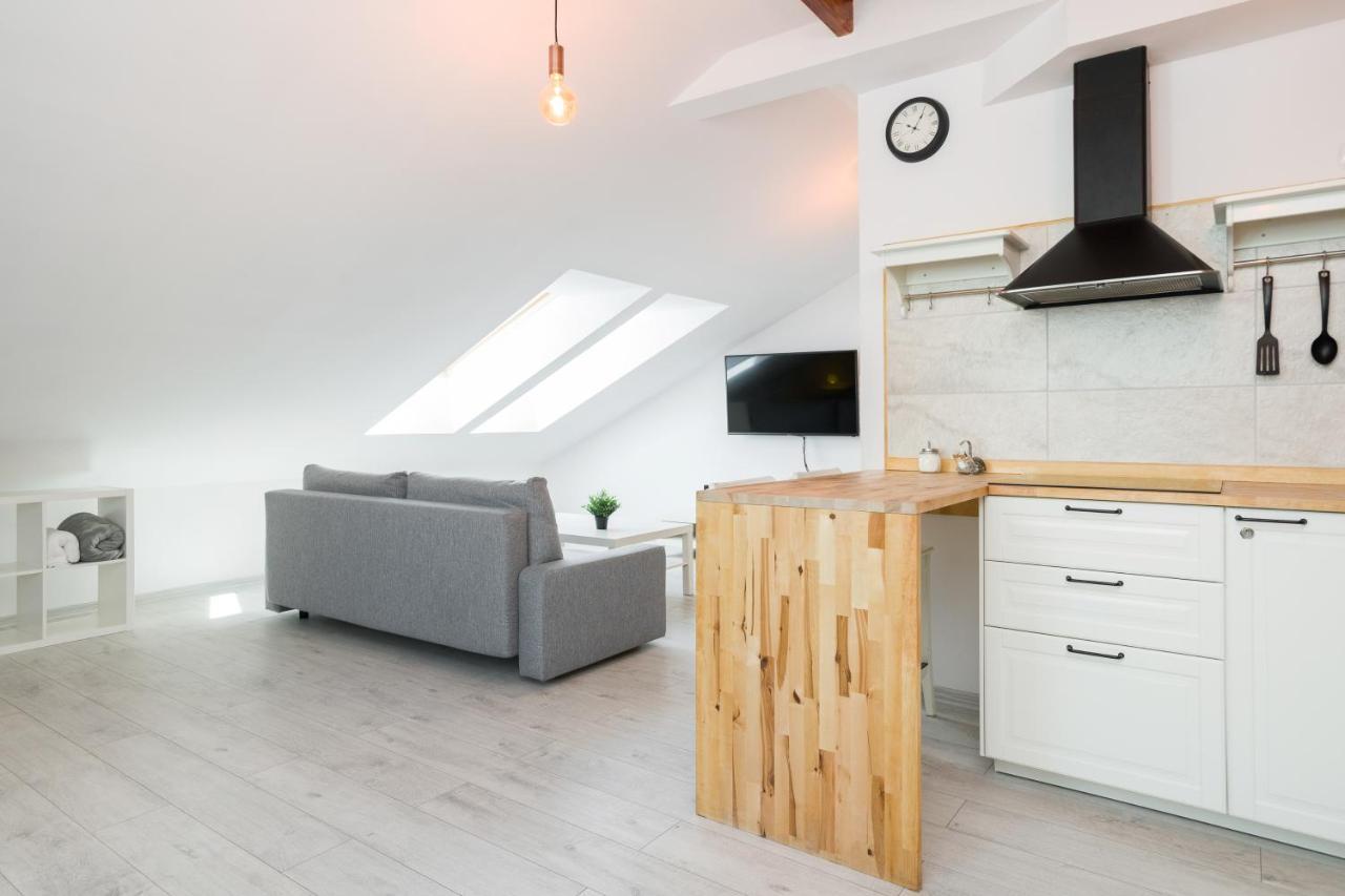Apartment Alexander Krakow Bagian luar foto